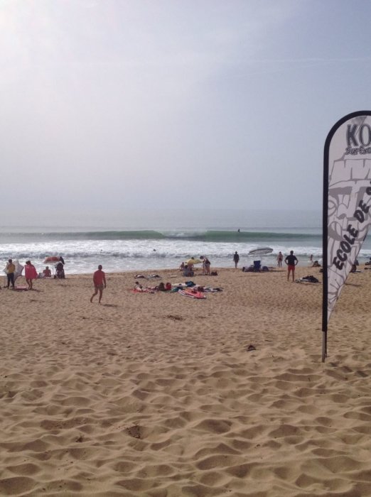 Koa surf shool